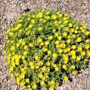 Meet your Posher, Norma